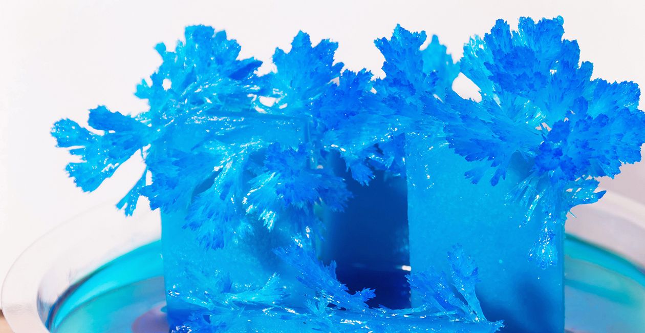 Radiant blue crystals grown at home. Chemical experience for children.